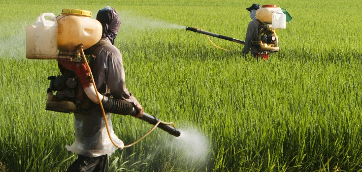 Total corruption: Government regulators relied on industry-funded herbicide studies to declare glyphosate safe